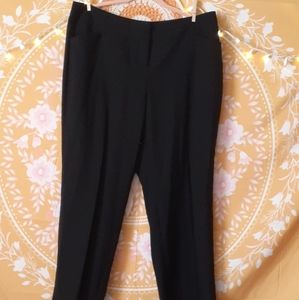 Cato Black 16WP Business Pants